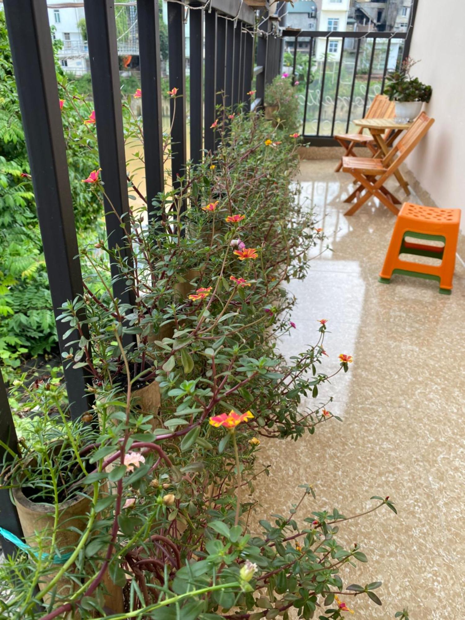 Dh Homestay Каобанг Екстер'єр фото